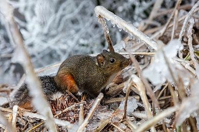 印度厂商公布3A级史诗动作游戏《The Age of Bhaarat》