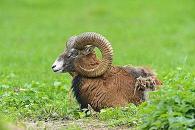 PS4支持进入倒计时：2026年春季新发售的PS4游戏将停用部分功能